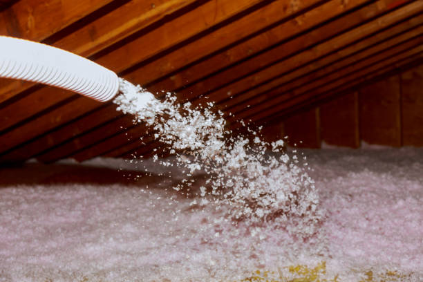 Best Types of Insulation in Maxwell, CA