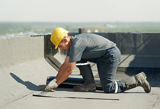 Best Insulation Maintenance and Repair in Maxwell, CA