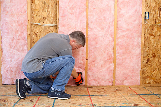 Best Types of Insulation in Maxwell, CA